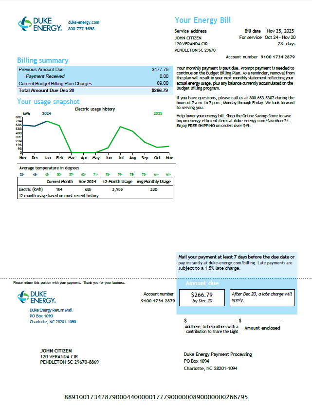 USA Duke Energy utility bill template in Word and PDF formats, version 6